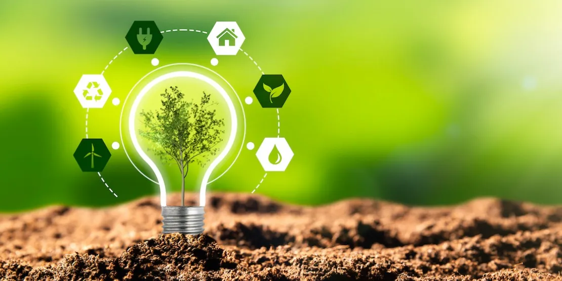 Light bulb with tree growing inside surrounded by renewable energy icons on soil with green background, representing